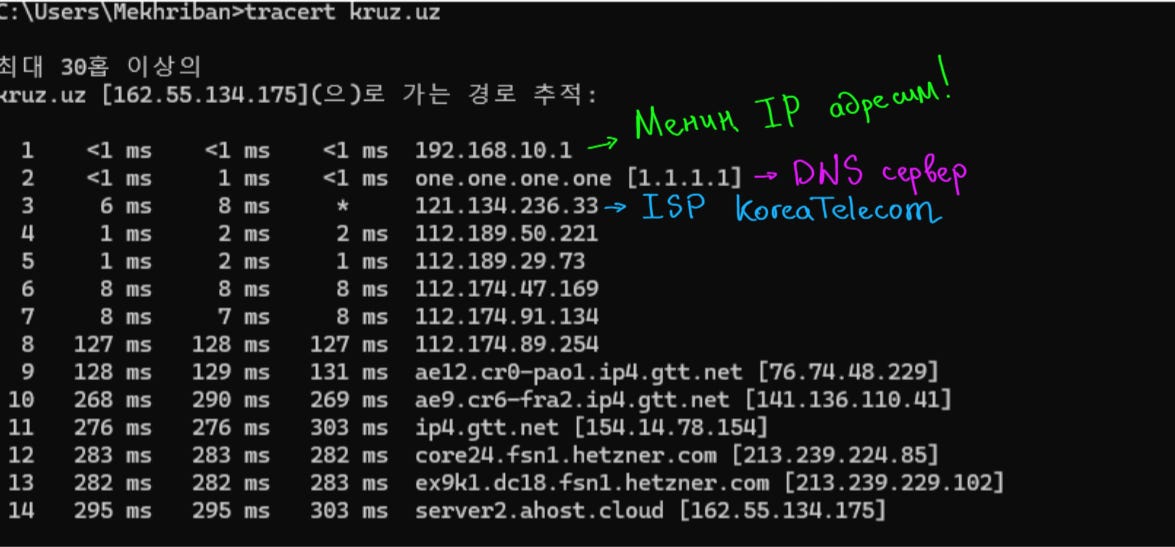 tracert нәтийжесиндеги жеке IP адрес, DNS сервер ҳәм интернет провайдер белгиленген