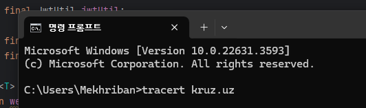 Command Prompt айнасында tracert kruz.uz буйрығы жазылған